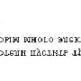 task305.jpg